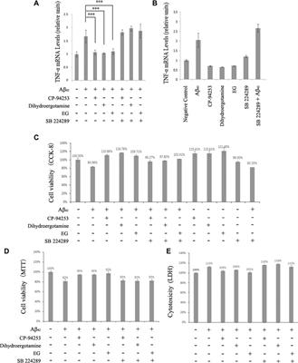 A Novel 5-HT1B Receptor Agonist of Herbal Compounds and One of the Therapeutic Uses for Alzheimer’s Disease